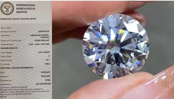 Il laboratorio sciolto di IGI ha creato i diamanti 16.63Carat VS1 intorno a colore di E
